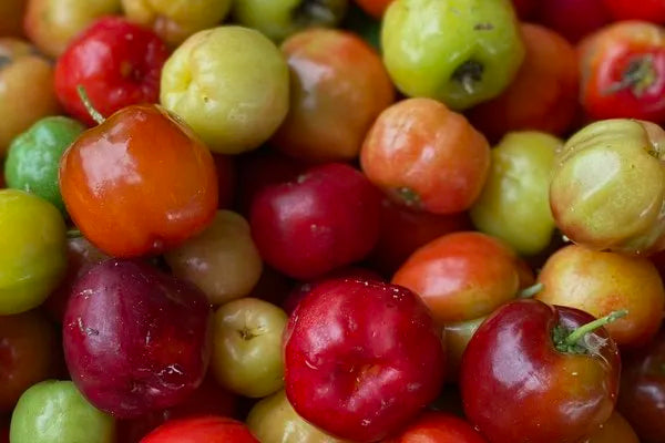 Acerola Cherries: The Vitamin-C Bomb Packed with Health Benefits