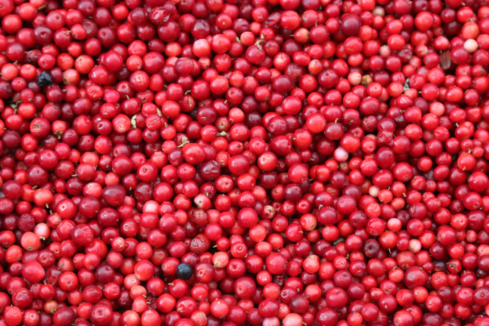 Cranberry Benefits and Nutrition: 7 Healthy Reasons To Eat More