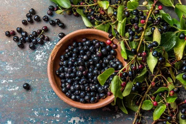 The Science of Vision and Brain Health Supplements | Unveiling OptifyMe’s Ingredients